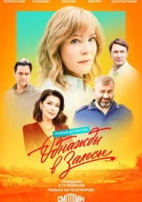 Однажды в Залесье (2024)