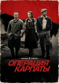 Операция «Карпаты» (2024)